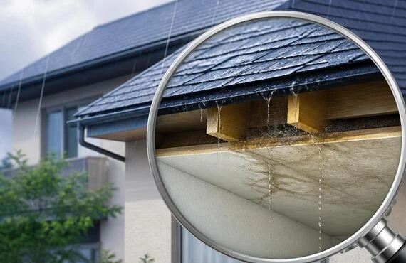 信頼の雨漏り診断、あなたの大切な家を守ります！